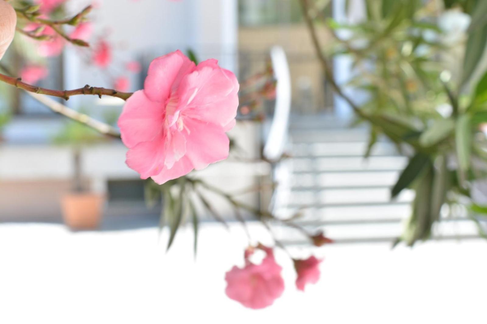 Boutique Hotel Argo Кутаиси Екстериор снимка